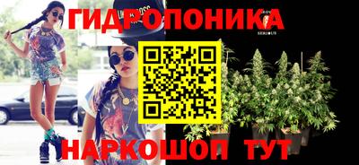 спиды Берёзовский