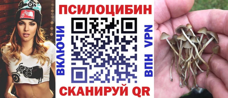 Псилоцибиновые грибы MAGIC MUSHROOMS  где найти   Дагестанские Огни 