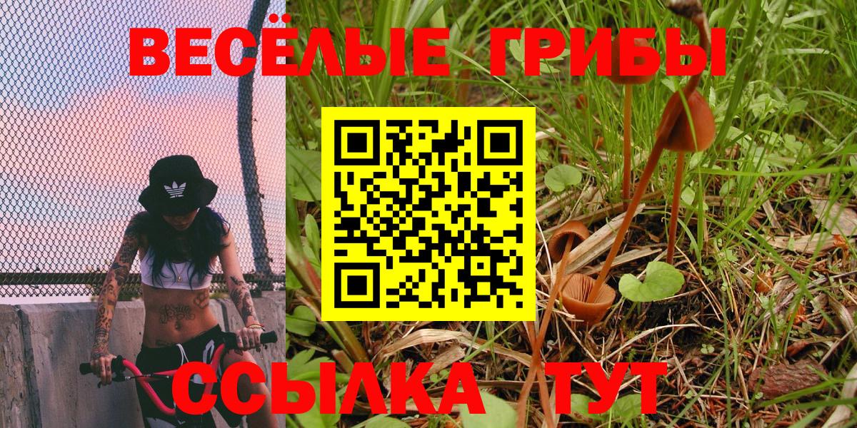 Галлюциногенные грибы Cubensis  Псилоцибиновые грибы MAGIC MUSHROOMS  Дагестанские Огни 