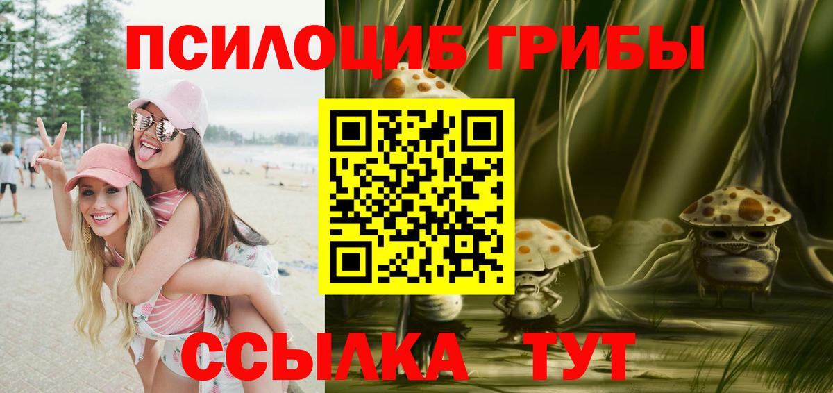 Дагестанские Огни  Псилоцибиновые грибы прущие грибы  где продают наркотики  Вход с VPN 