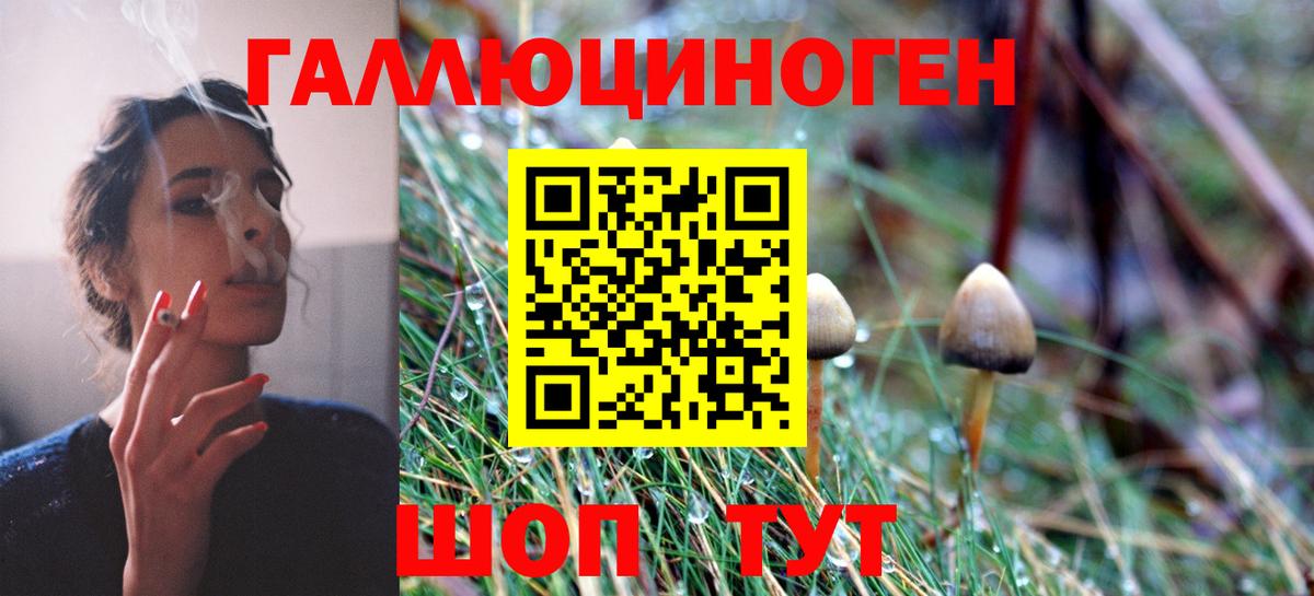 Галлюциногенные грибы прущие грибы Дагестанские Огни